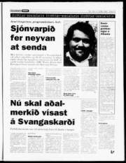 Síða 13