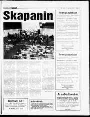 Síða 17