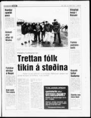 Síða 3