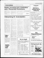Síða 6