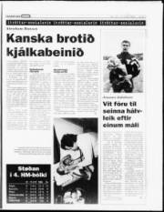 Síða 9