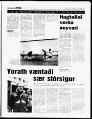 Síða 11