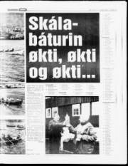 Síða 13