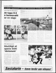 Síða 15