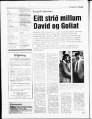 Síða 20