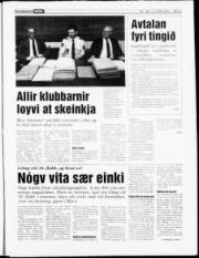 Síða 3
