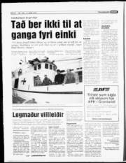 Síða 8