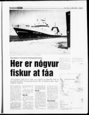 Síða 9