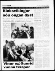 Síða 13