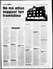 Síða 15