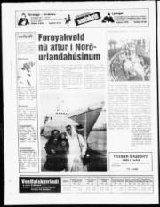 Síða 20