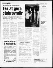 Síða 3