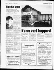 Síða 4