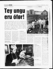 Síða 13