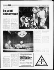 Síða 15