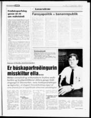 Síða 19