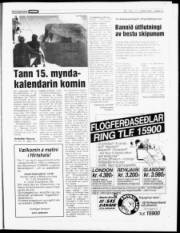 Síða 21