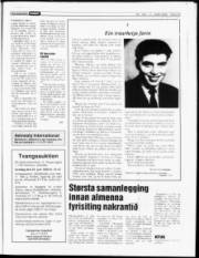 Síða 23