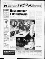 Síða 24