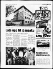 Síða 6