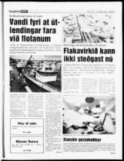 Síða 15