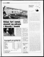 Síða 17