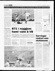 Síða 13