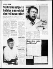 Síða 15