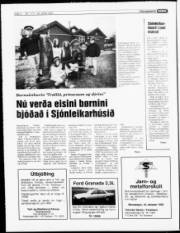 Síða 4