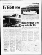 Síða 8