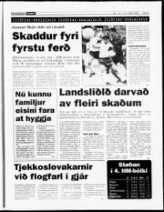 Síða 9
