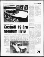 Síða 12