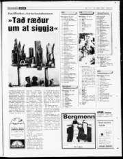Síða 19