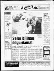 Síða 20