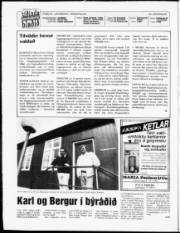 Síða 2