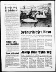 Síða 6
