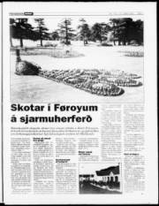 Síða 7