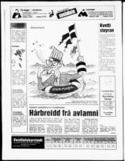 Síða 19