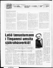 Síða 2