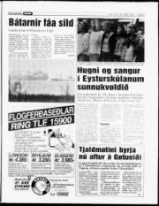 Síða 5