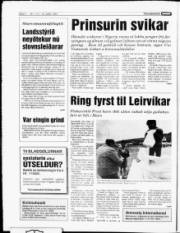 Síða 6