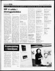 Síða 19