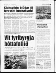 Síða 20
