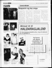 Síða 23