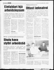 Síða 3