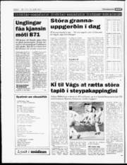 Síða 6