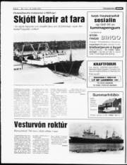 Síða 8