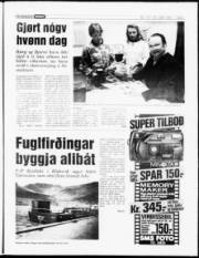 Síða 5