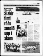 Síða 13