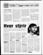 Síða 2